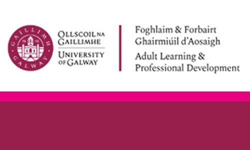 University of Galway – Adult Learning - picture 1