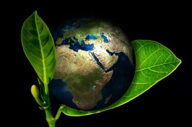 Environmental Study Courses in Ireland