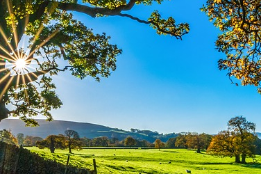 Farm education course