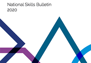 National Skills Bulletin