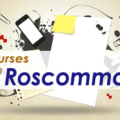 courses in Roscommon