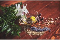 Harmony through Ayurveda: Lifestyle & Nutrition