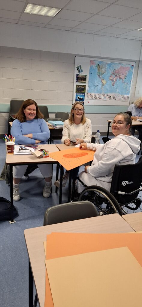 Sallynoggin College of Further Education - Advanced Training in Special Needs Assisting and Inclusion - 1